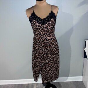 Leopard and Lace Dress